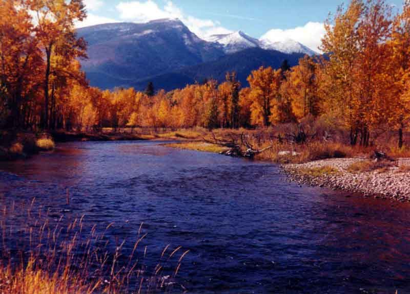 Fall Colors on the Bitterroot Fall Colors  RV Camping  Bitterrroot River 